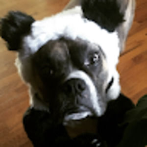 Meet your Posher, Cori